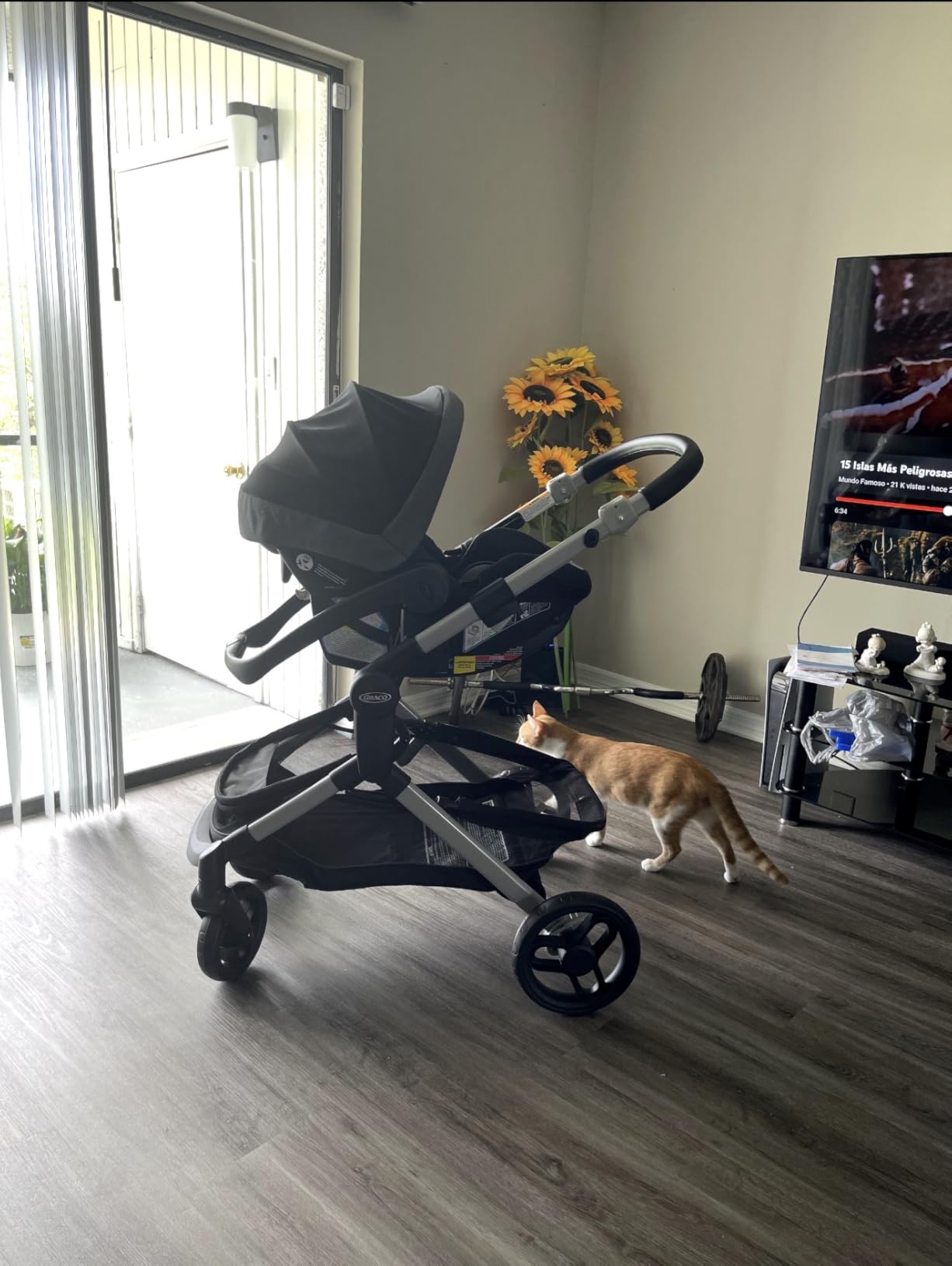 Graco Modes Nest Travel System, 3-in-1 Modular Carseat Stroller Combo, Includes the SnugRide DLX Infant Car Seat and Baby Stroller, Adjustable Slide2Me Car Seat Carrier to Toddler Stroller, Sullivan customer photo 2