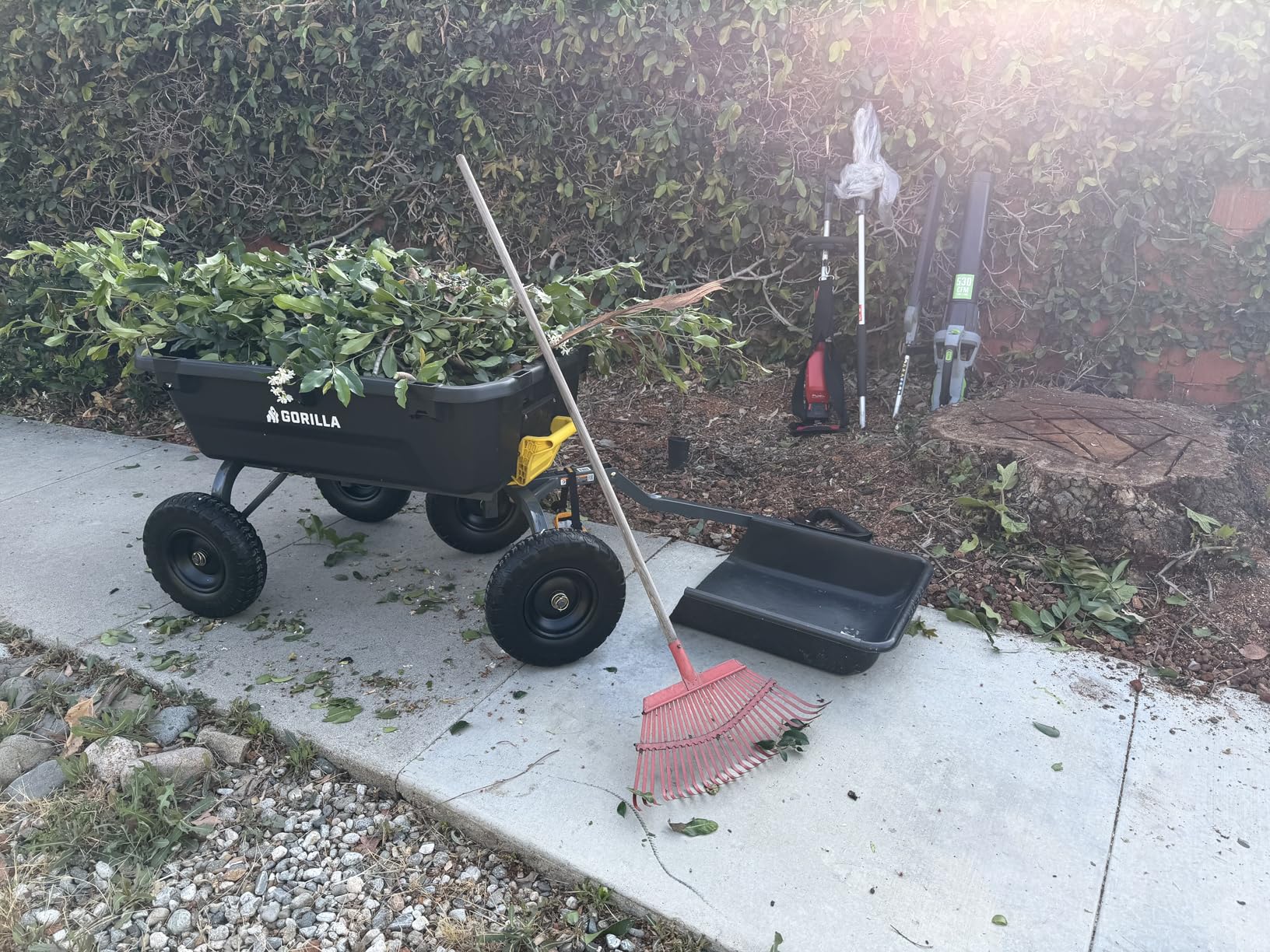 Gorilla Carts Dump Garden Cart, 4 Cu Ft, 600 lb Capacity, No-Flat Tires | Poly dump cart with flat-free tires for homeowners and weekend gardeners hauling mulch, soil and leaves around smaller yards. customer photo 1