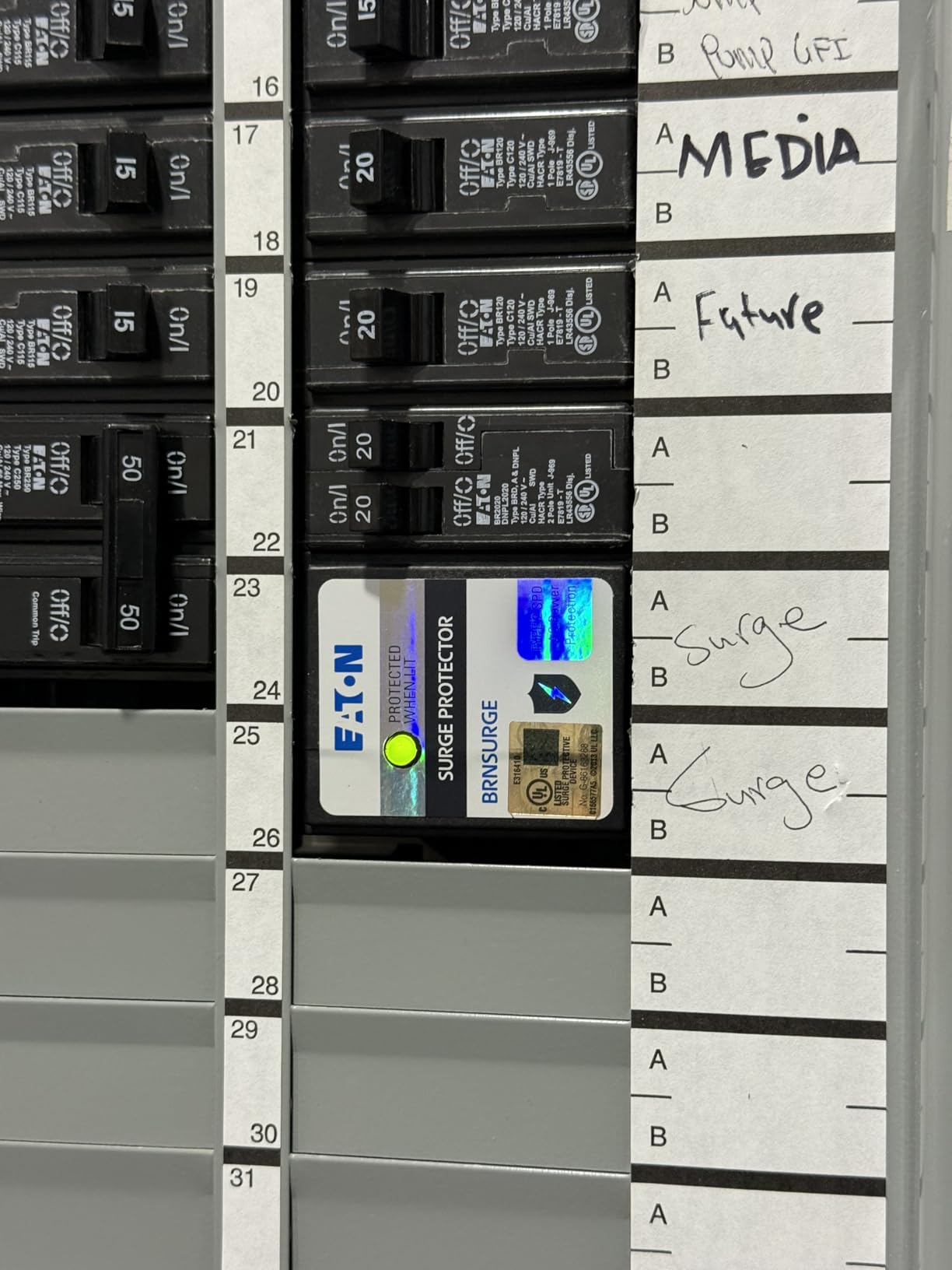 Type BR Circuit Breaker Surge Protective Device, Two Pole, Surge Protective Device customer photo 1