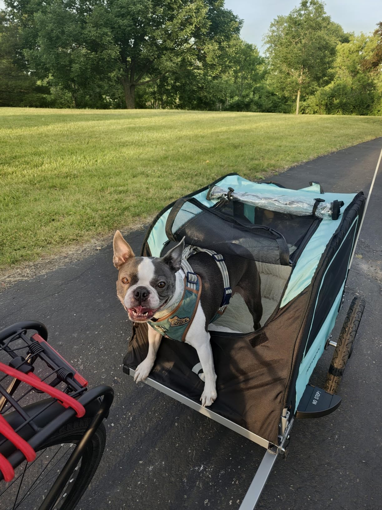 Retrospec Rover Waggin' Pet and Dog Bike Trailer with Weather-Resistant Canopy & Mesh Shield - Foldable Frame, 16in Wheels with Storage Pouch & Internal Safety Leash Supports up to 50 lbs customer photo 1