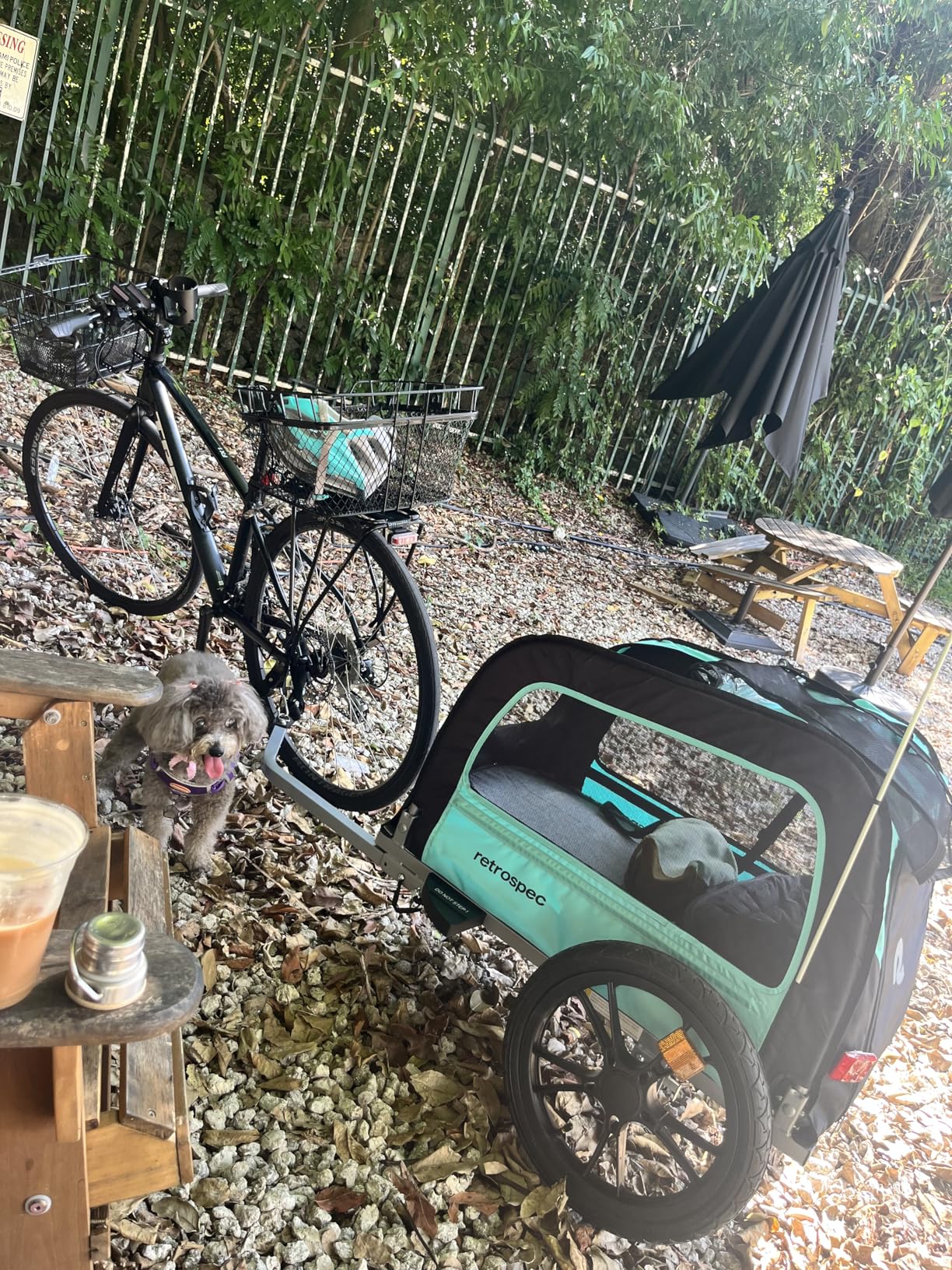 Retrospec Rover Waggin' Pet and Dog Bike Trailer with Weather-Resistant Canopy & Mesh Shield - Foldable Frame, 16in Wheels with Storage Pouch & Internal Safety Leash Supports up to 50 lbs customer photo 2