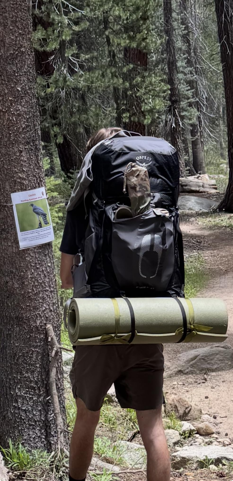 Osprey Atmos AG 65L Men's Backpacking Backpack, Black L-XL customer photo 1
