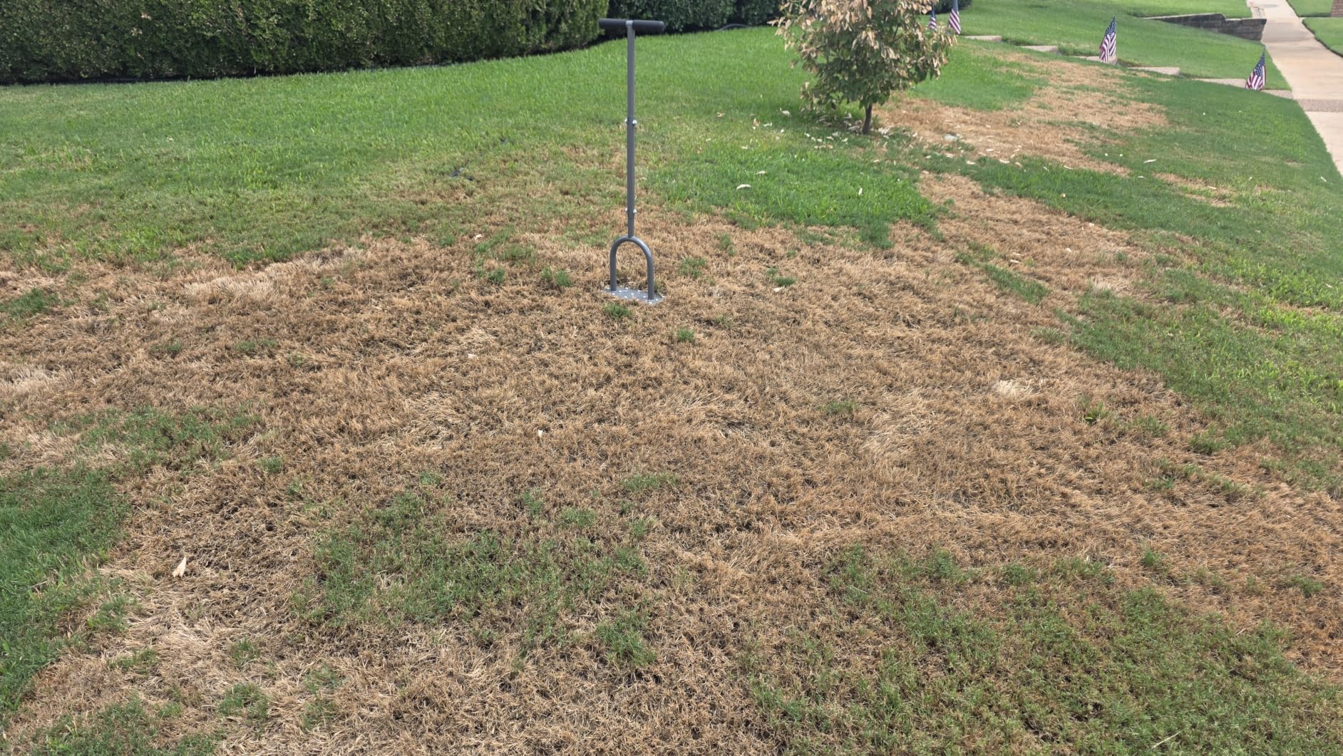 Walensee Manual Lawn Aerator Tool with 15 Iron Spikes, Garden Spike Aerator customer photo 1