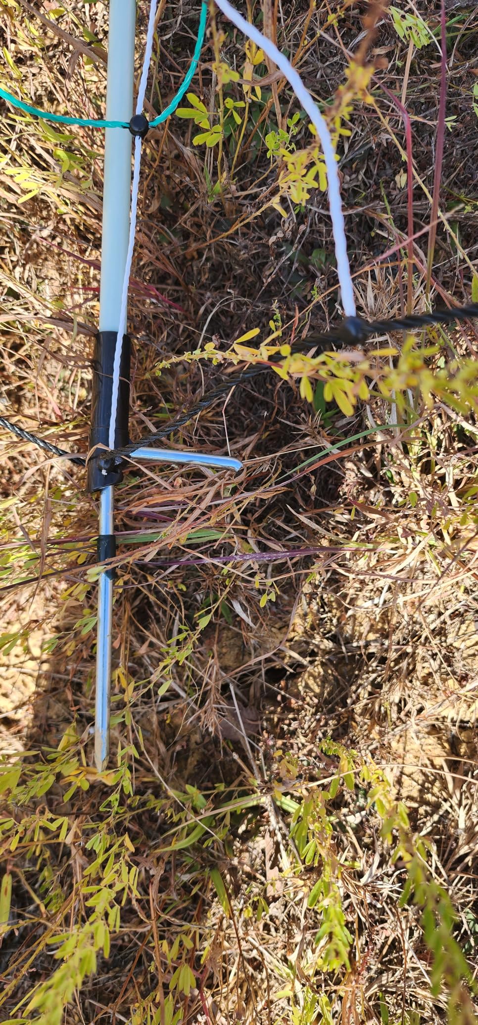 RentACoop Goat Electric Fence Netting, 42