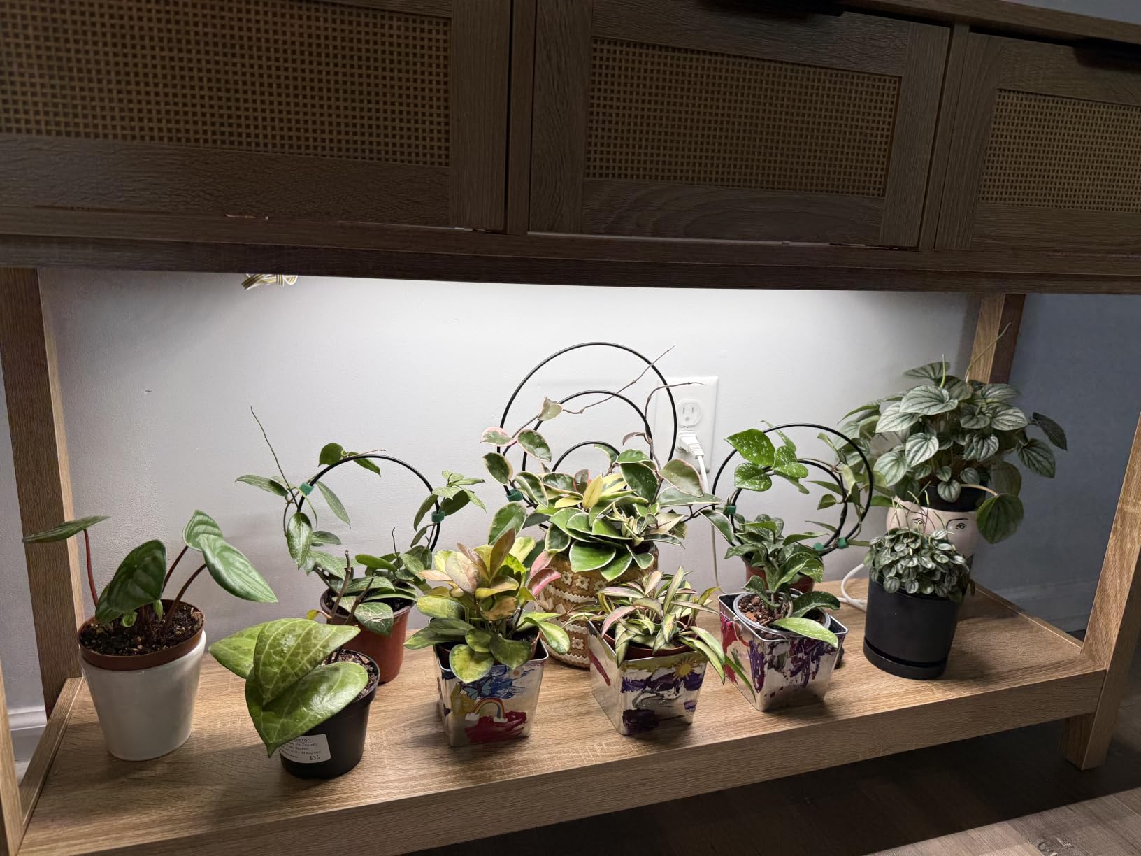 Barrina T5 Grow Lights for Indoor Plants, 5000K Full Spectrum, 1FT, 4 Packs | 1FT LED Growing Lamp, Plant Light Strip for Seed Starting, Vegetables and Greens, Plug and Play, Linkable customer photo 1