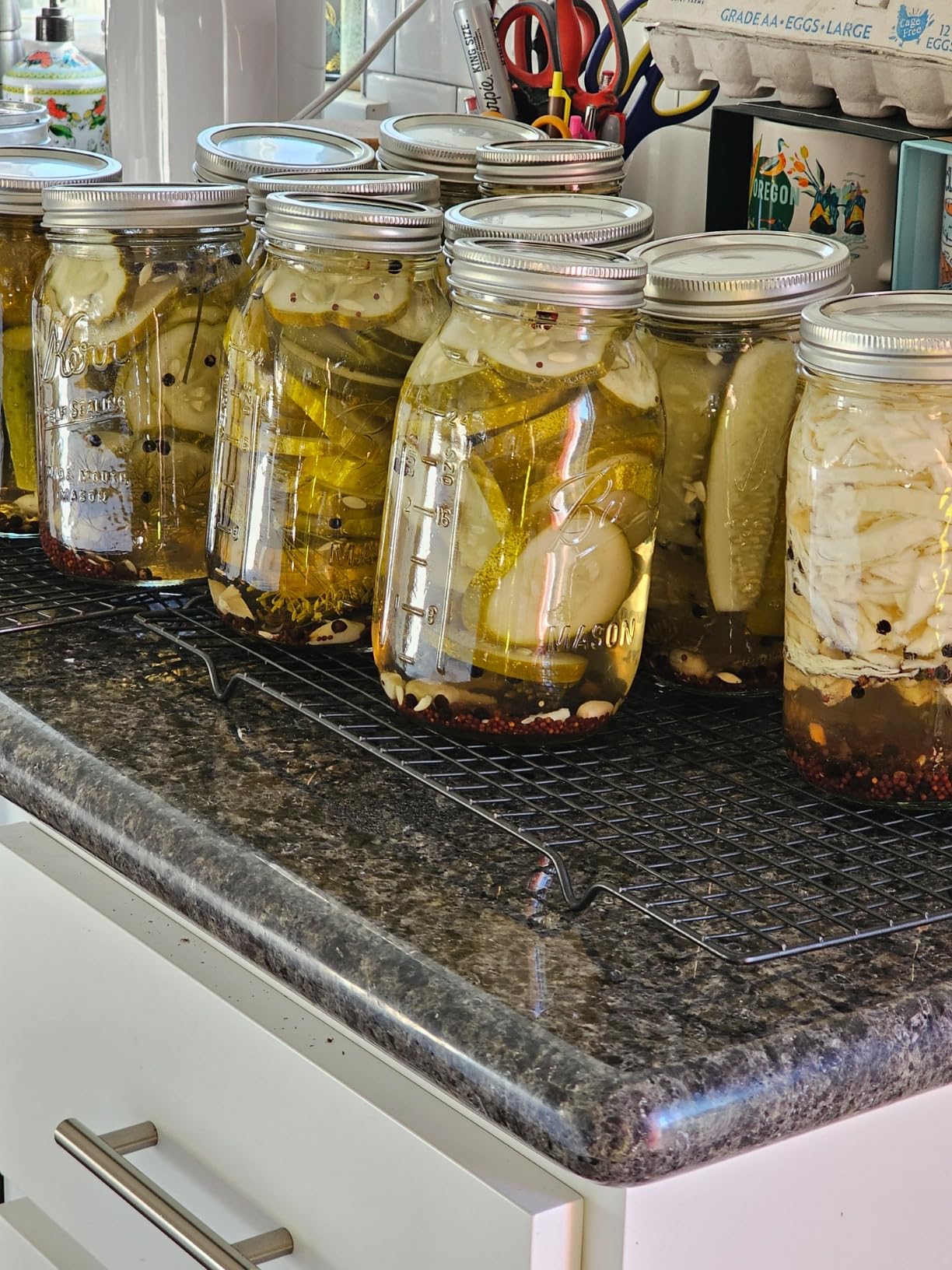 Hungry Artisan Canning Supplies Kit, Stainless Steel, 18 Pieces - Great for pickling, jams, salsas, and relishes. Beginner-friendly canning set customer photo 1
