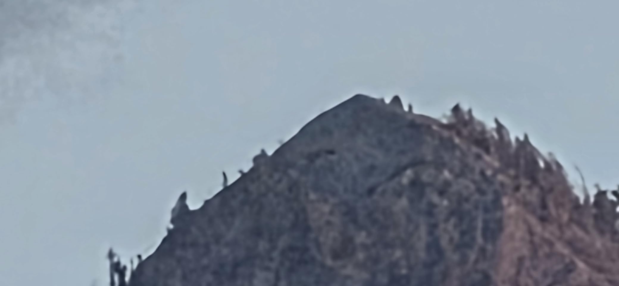 Canon RF200-800mm F6.3-9 is USM Super-telephoto Zoom Lens, Mirrorless, Powerful Zoom Range, Comfortable Handheld Shooting, for Wildlife, Nature, Outdoor Sports, Compact & Lightweight customer photo 2