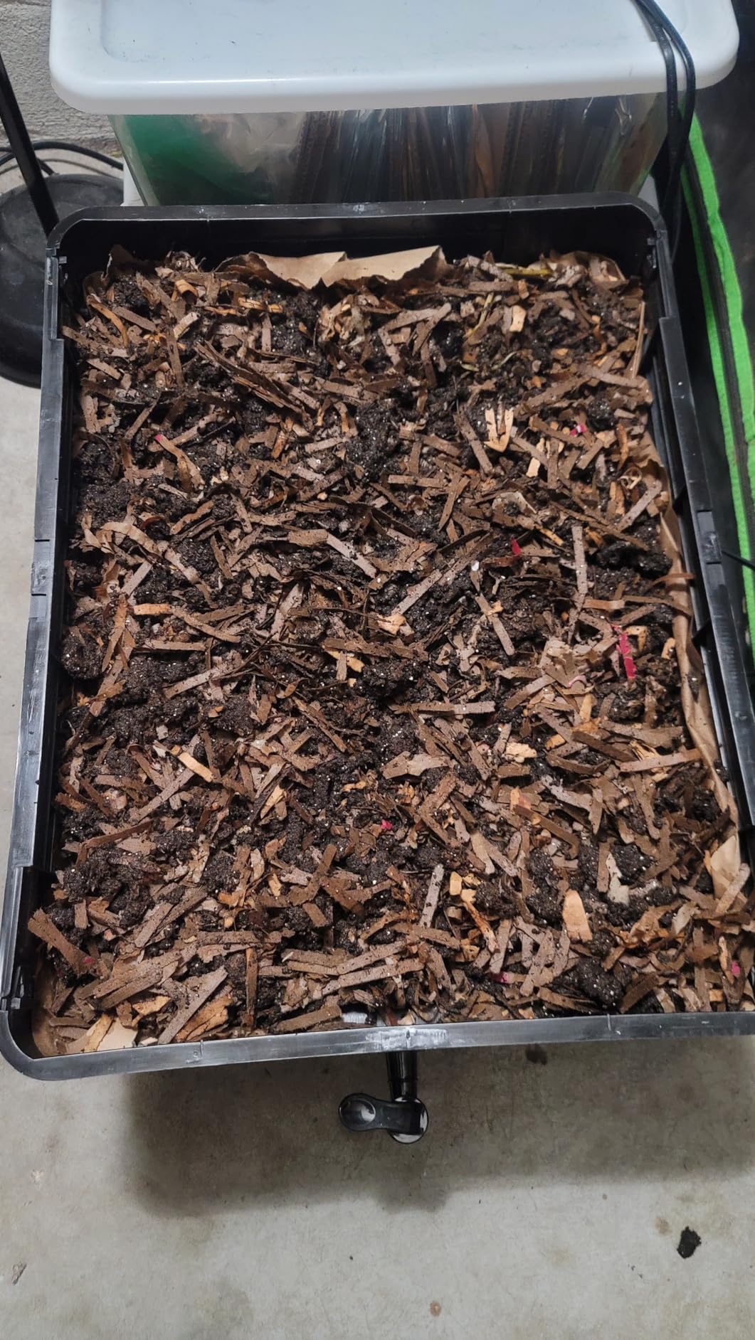 5-Tray Worm Composter,100L Worm Compost Bin for Vermicomposting Starter, Indoor & Outdoor Worms Farm Composting Bin, Worm Compost Bin for Recycling Food Waste customer photo 2