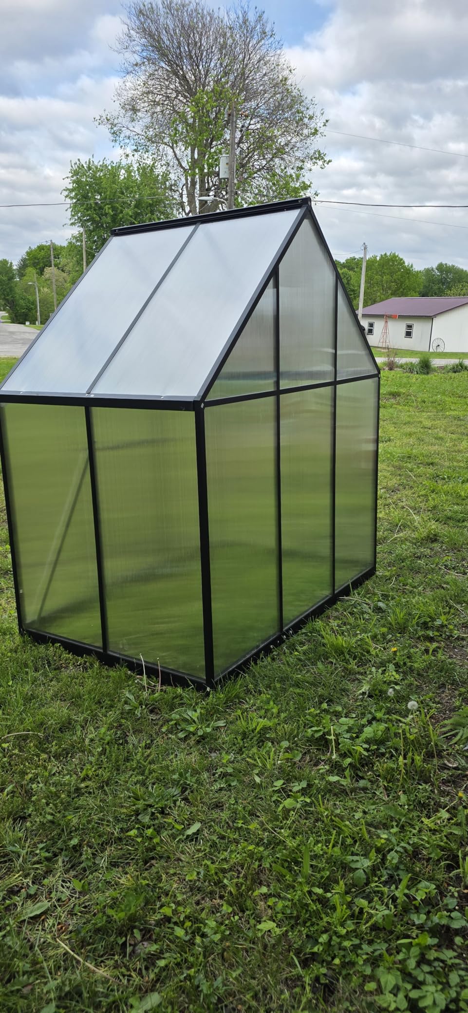 8X10FT Enhanced Aluminum Walk-in Greenhouse for Outdoors with Thermometer | Easy Assembly, UV-Resistant Panel, Rain Gutter, Lockable Hinged Door, Built-in Reinforcement, For Vegetable, Flower and Herb customer photo 1