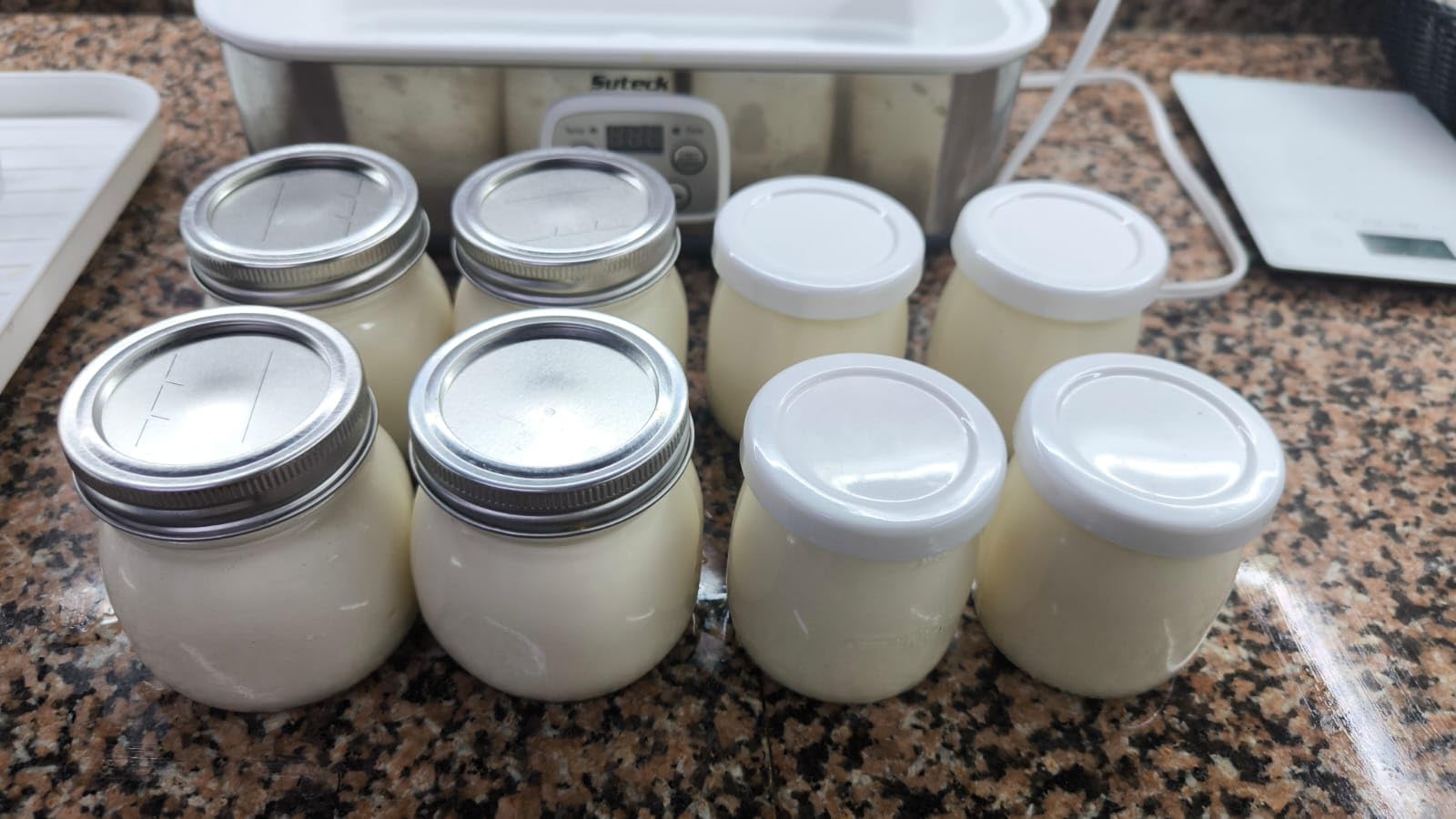 Suteck Yogurt Maker with 8 Jars, Adjustable Time & Temp Control | 8 Jars Each 6oz Dishwasher-Safe, BPA-Free, 0-48H Timer & 68-131°F Temp, ±1°C Precision | Auto Shutoff, 25W, Greek Yogurt customer photo 1