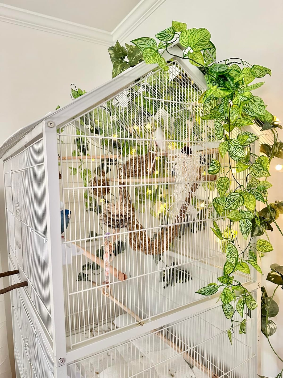 Prevue Pet Products Wrought Iron Flight Cage with Stand, Large Birdcage for Pets, Metal Cage Standing Birdcage, Black Hammertone Finish customer photo 1