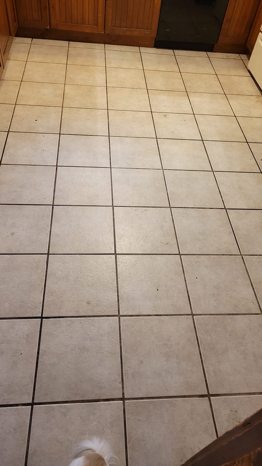 Oreck Orbiter Hard Floor Cleaner, Multi Purpose Floor Cleaning Machine customer photo 1