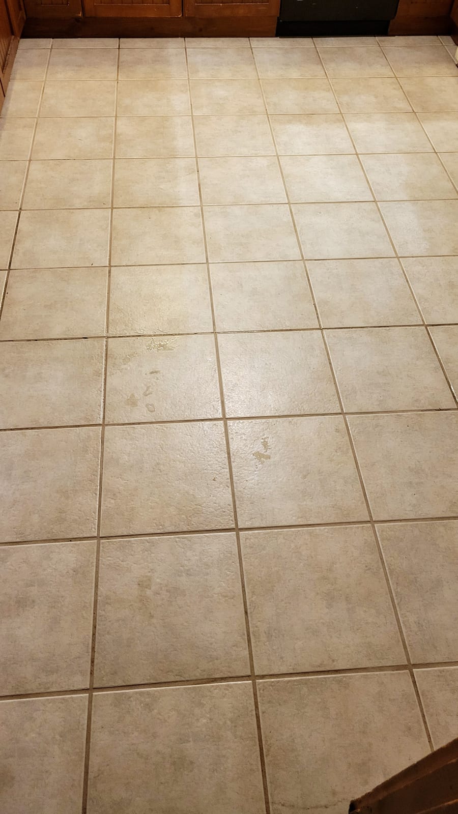 Oreck Orbiter Hard Floor Cleaner, Multi Purpose Floor Cleaning Machine customer photo 2