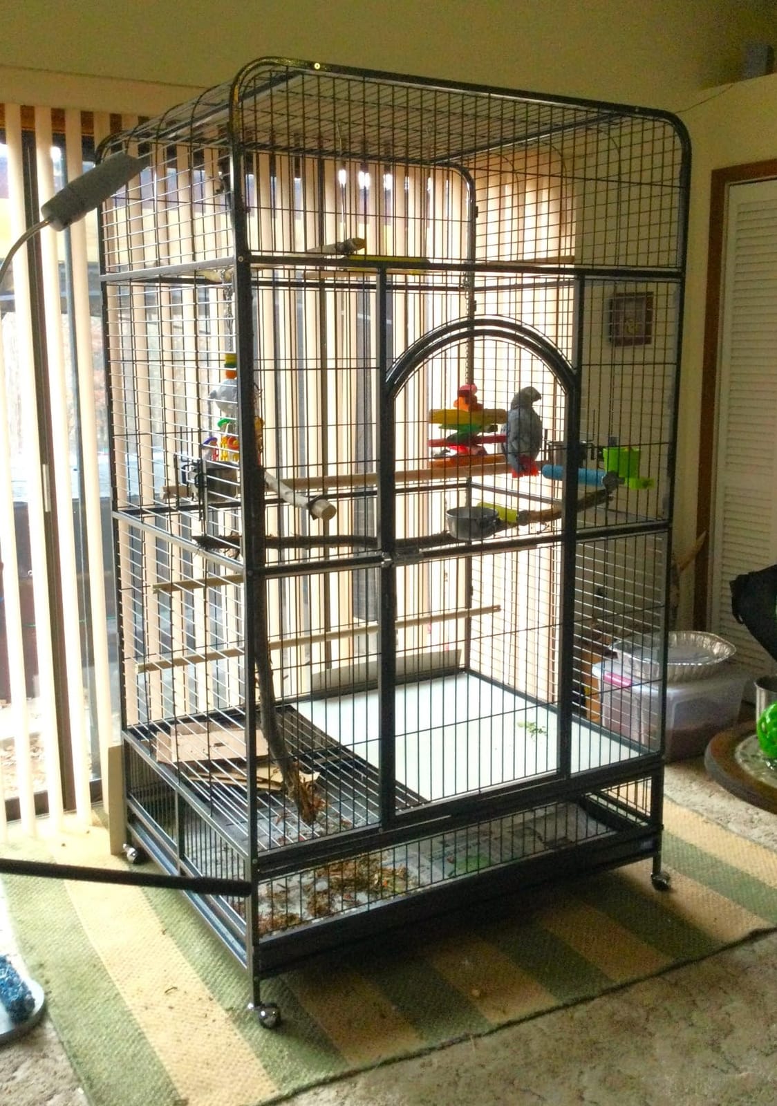 Prevue Pet Products Empire Bird Cage, X-Large, Black Hammertone, 46