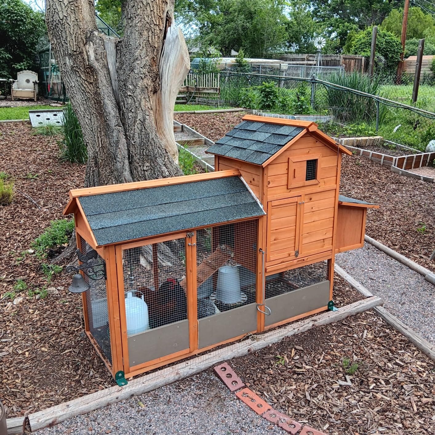 Best Choice Products 80in Outdoor Wooden Chicken Coop Multi-Level Hen House, Poultry Cage w/Ramps, Run, Nesting Box, Wire Fence, 3 Access Areas customer photo 1