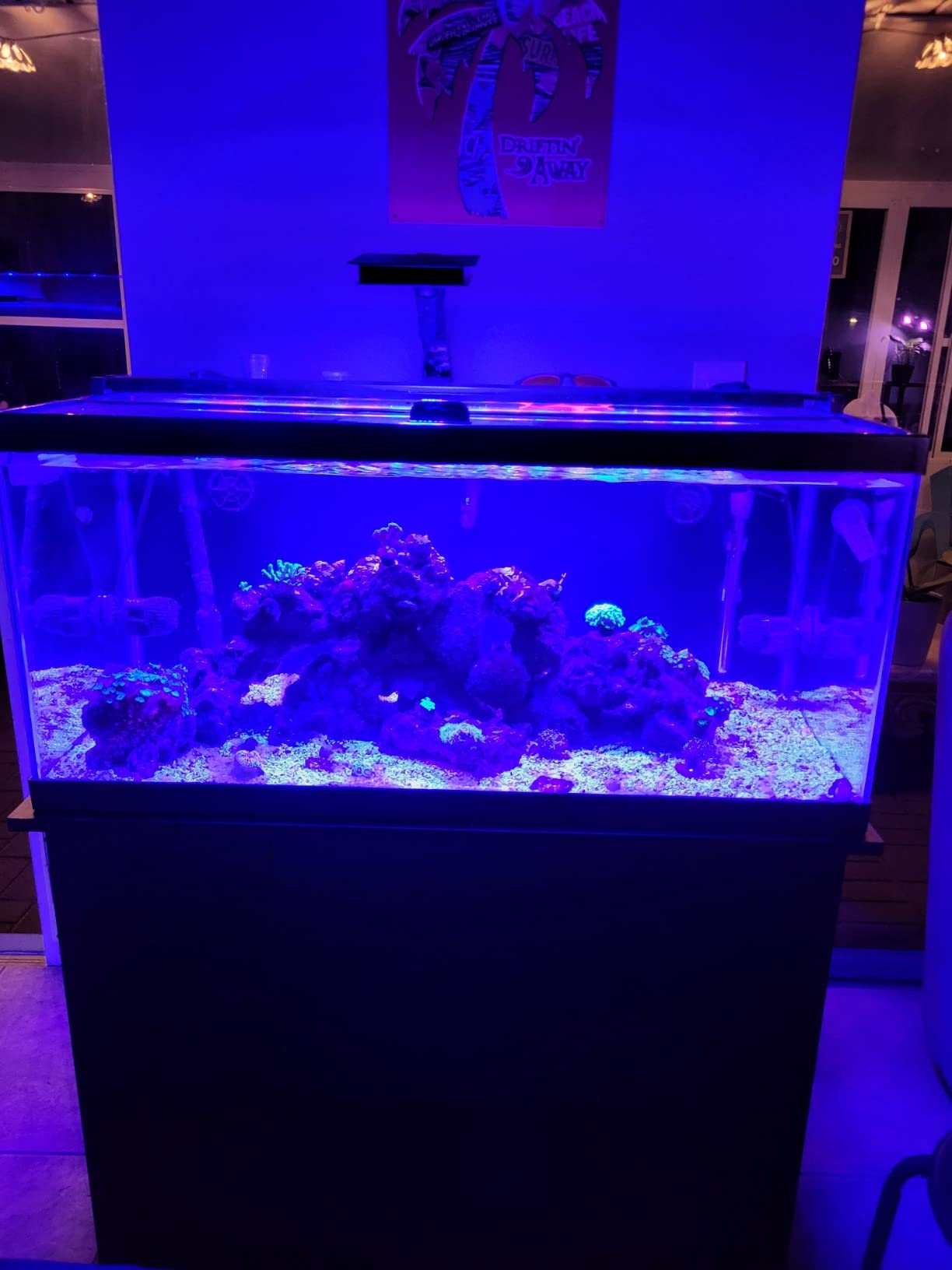 Fluval SEA Marine Nano LED Aquarium Lighting with Bluetooth, 20 Watts, Glass customer photo 1