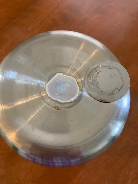 Stainless Steel Yogurt Maker with 1 Quart Glass Jar and Complete Recipe Book to Make 12+ Easy Homemade Dairy Free and Milk Yogurts customer photo 2