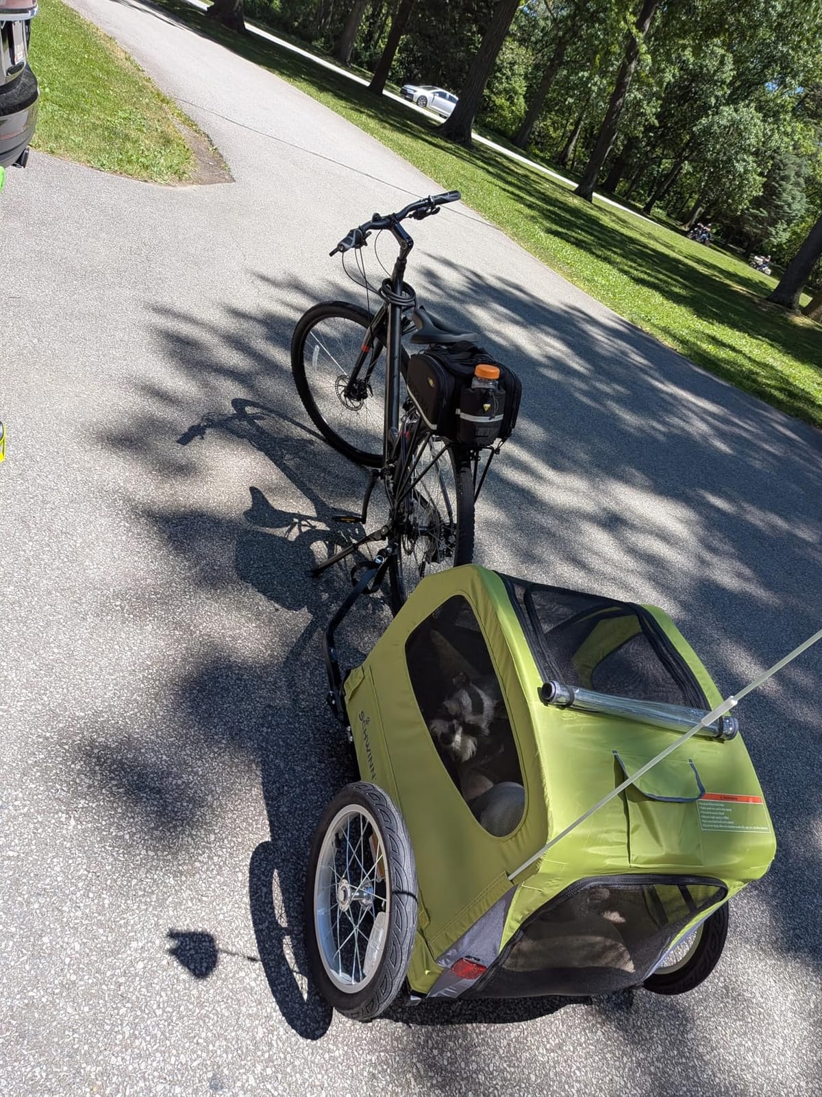 Schwinn Rascal Plus Pet Trailer, Holds Pets Up To 100 lb, Universal Coupler, Folding Frame, Quick-Release Wheels, Rear Doggy Door, Built-In Leash, Washable Liner, Bug Screen customer photo 1