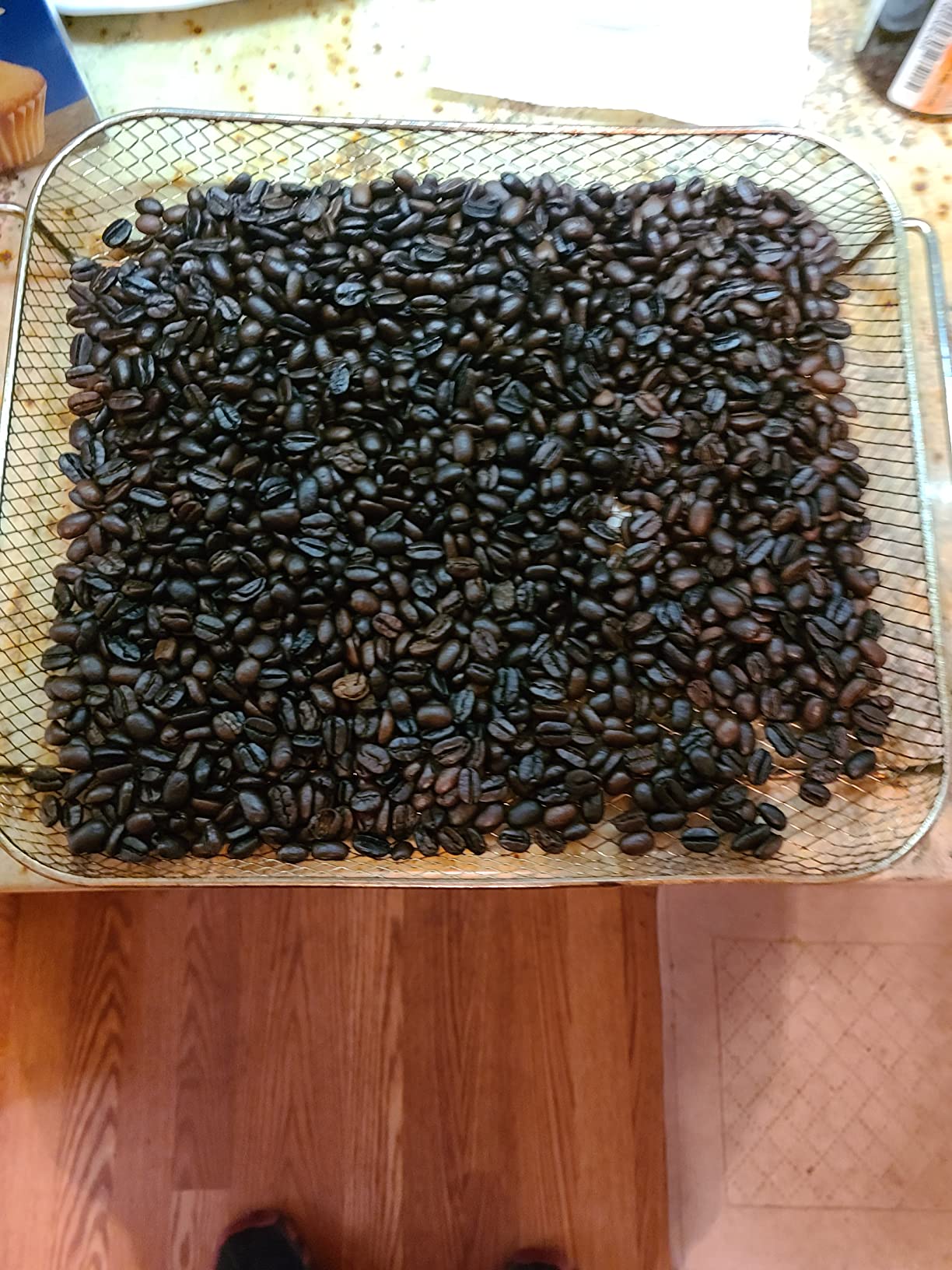 JIAWANSHUN Electric Coffee Bean Roaster Machine for Home Use, 1.1lb Capacity | with Timer & 0-240 Temperature Adjustment, Small Batch Coffee Roaster customer photo 2