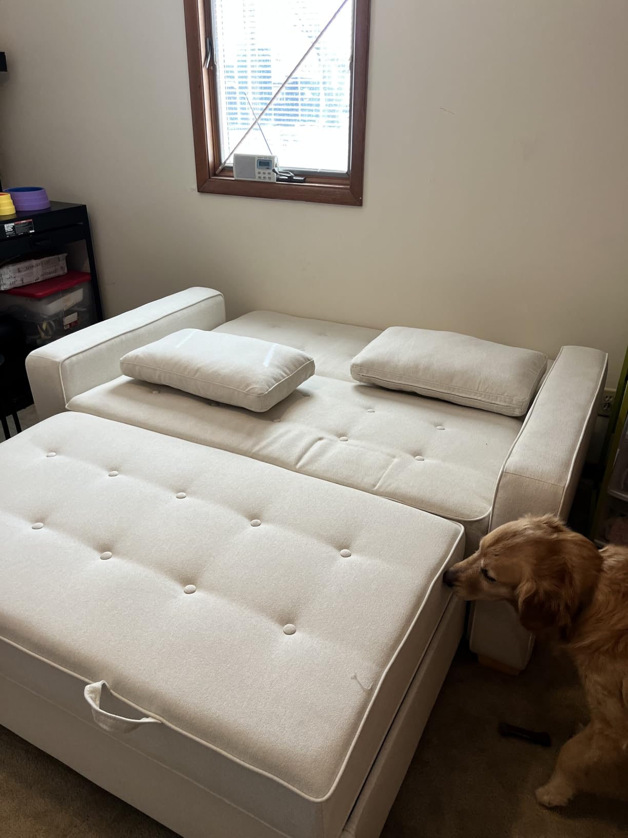 Serta Ainsley 72.6