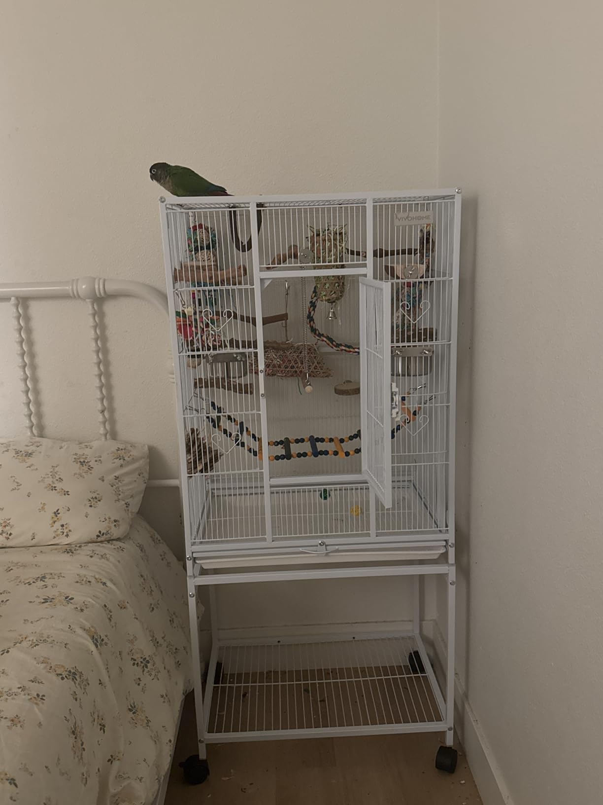 VIVOHOME 54 Inch Wrought Iron Large Bird Cage with Rolling Stand | Bird Flight Cage with Stand, Casters, Slide-out Tray for Parakeets Canaries Parrot Cockatiels Lovebirds Conures, Black customer photo 2