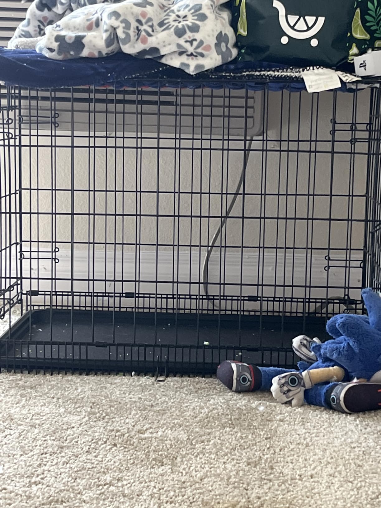 Amazon Basics Portable, Foldable Metal Wire Dog Crate with Removable Tray, Divider Panel, for Large Dogs, 48 x 30 x 32.5 in, Black customer photo 1