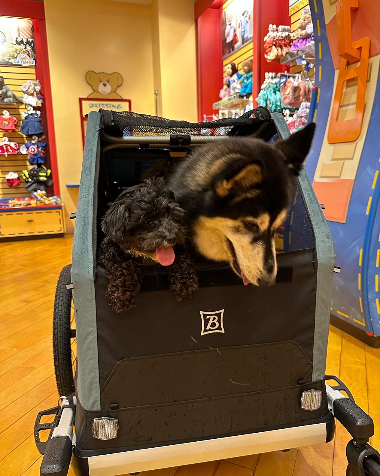 Burley Bark Ranger Pet Bike Trailer customer photo 1