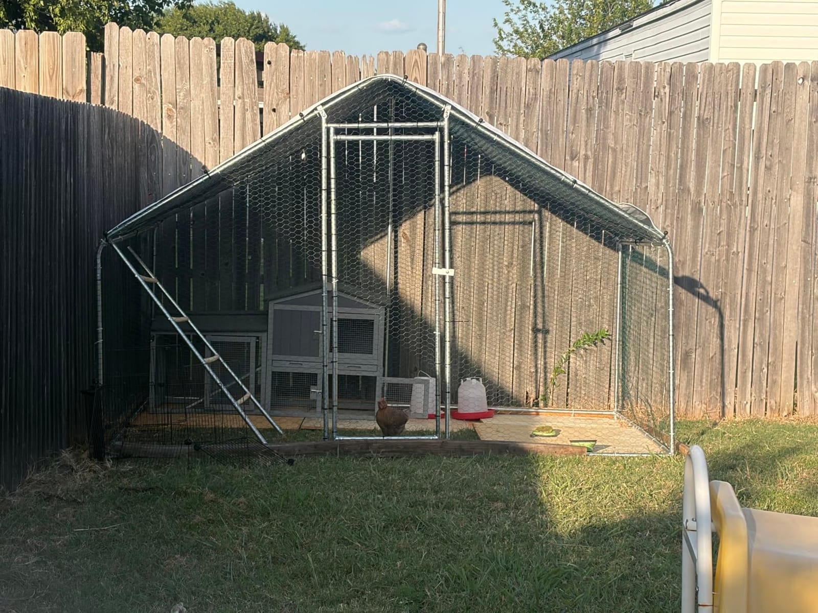CHIKENCOOP 9.8 x 6.5 x 6.5 ft Metal Chicken Coop, Chicken Run with Cover | Walk-in outdoor enclosure with waterproof UV-resistant cover, reinforced frame, and 47 x 40 in eucalyptus perch customer photo 2