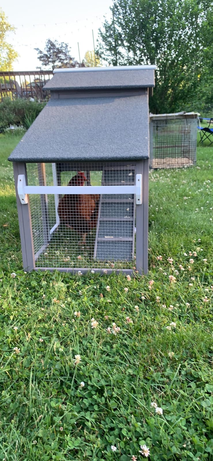 Ketive Large Wooden Chicken Coop with Run and Wheels, Grey | On Wheels, 2 Nesting Box, Pull-Out Tray, For 1-3 Hens, Chicken Coop with Run, Easy Clean Pull-Out Tray, Backyard Use customer photo 2