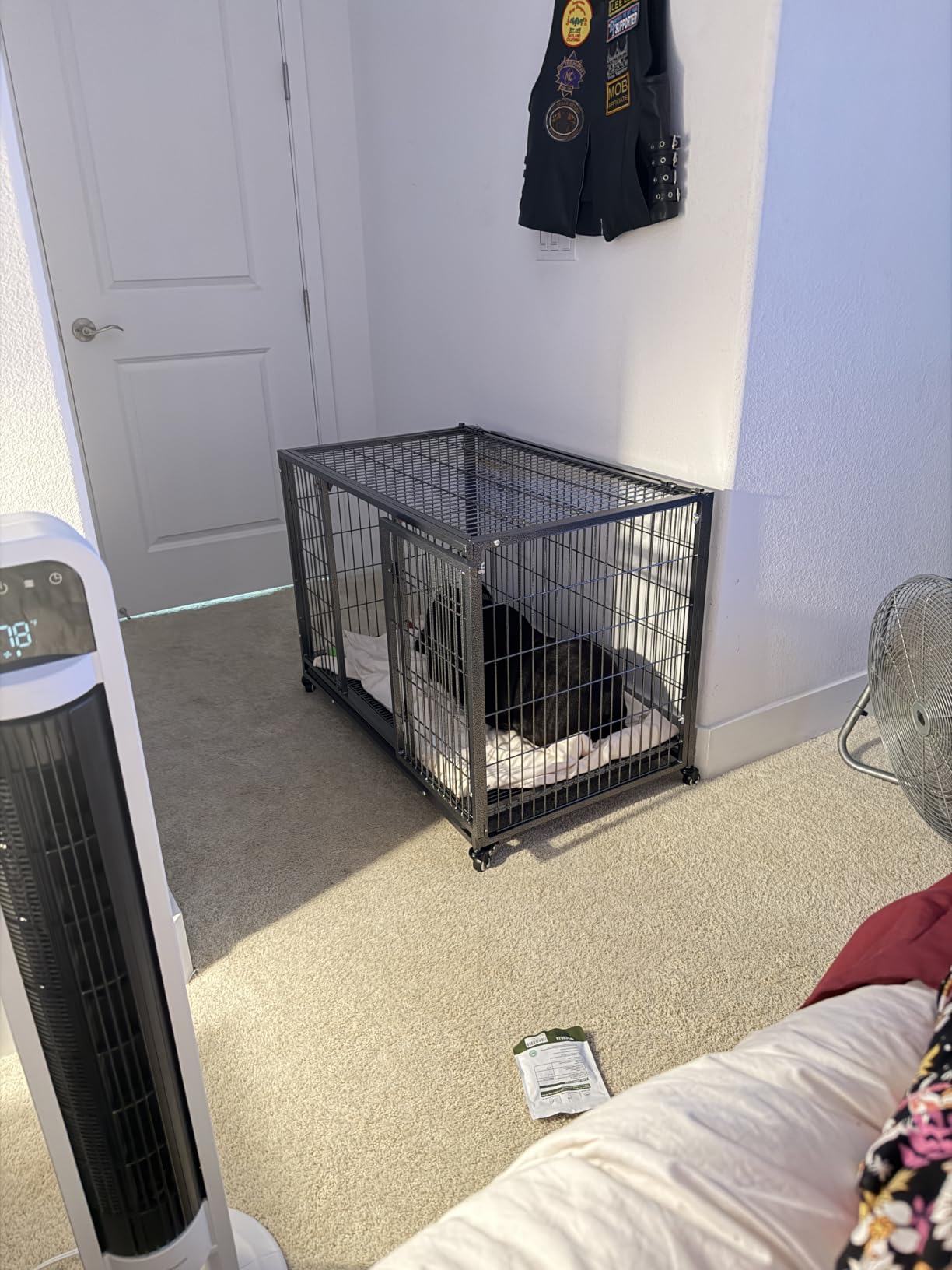 BOLDBONE 48 inch Heavy Duty Indestructible and Escape-Proof Dog Crate Cage Kennel for Large Dogs, High Anxiety Dog Crate with Removable Wire Trays and Wheels, XL XXL, Black customer photo 2