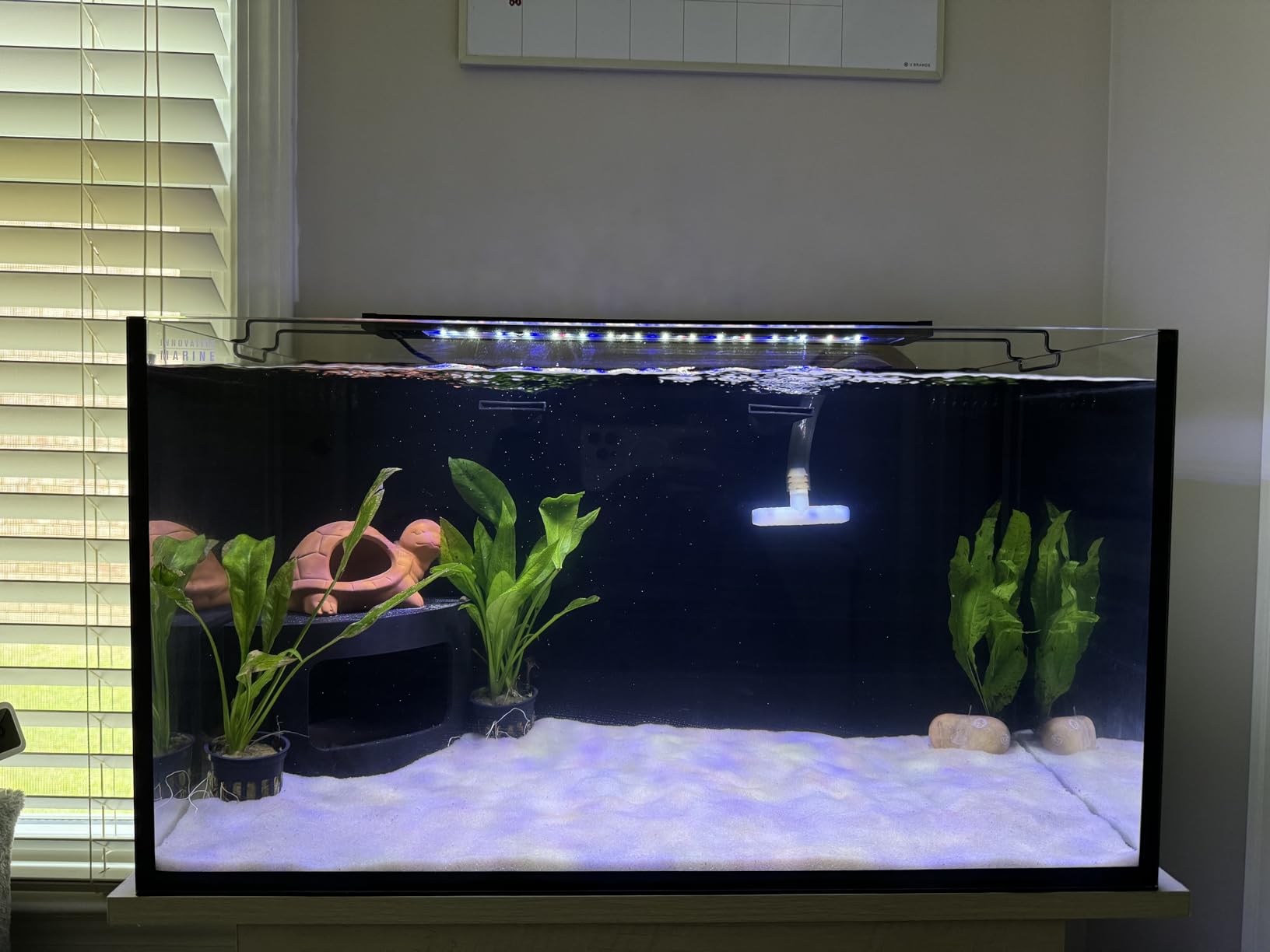 BAOSHISHAN 1/10 HP Aquarium Chiller 42 Gal 160L Water Cooling System | Quiet Refrigeration Compressor, Titanium Evaporator for Freshwater & Saltwater, For Axolotl, Hydroponics, Reefs customer photo 1