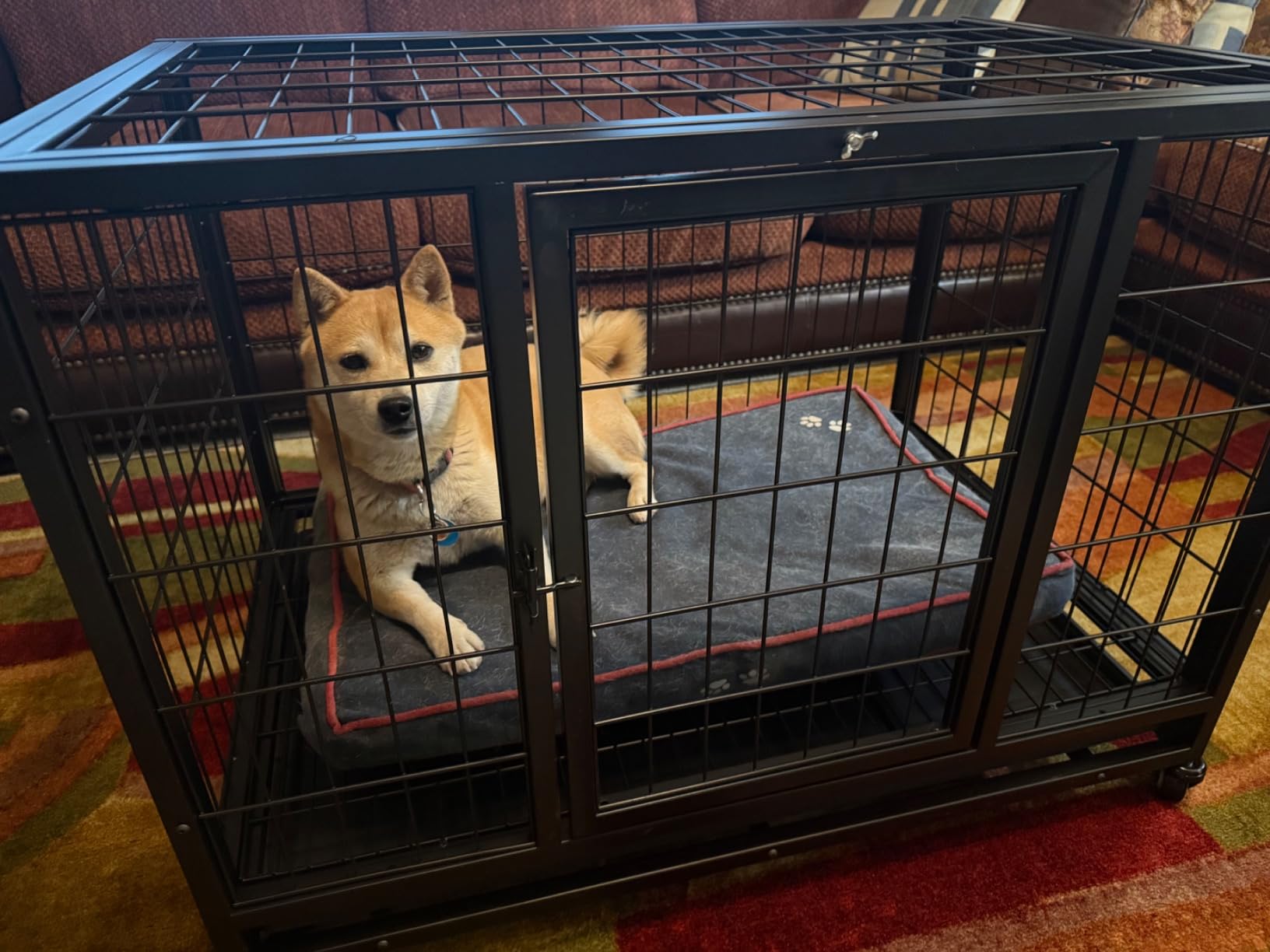 Dog Kennel Outdoor Chain Link Dog Run Playpen Galvanized Heavy Duty Outdoor Dog Kennel Fence Puppy Exercise Pen Dog Run Cage with UV & Waterproof Cover Secure Lock 10x10x6ft customer photo 1