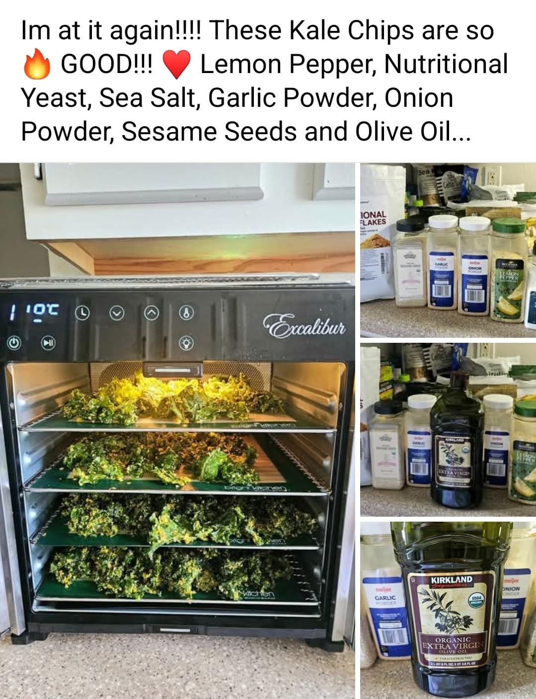 Excalibur 10 Tray Select Digital Dehydrator, in Stainless Steel (DH10SCSS13) customer photo 1