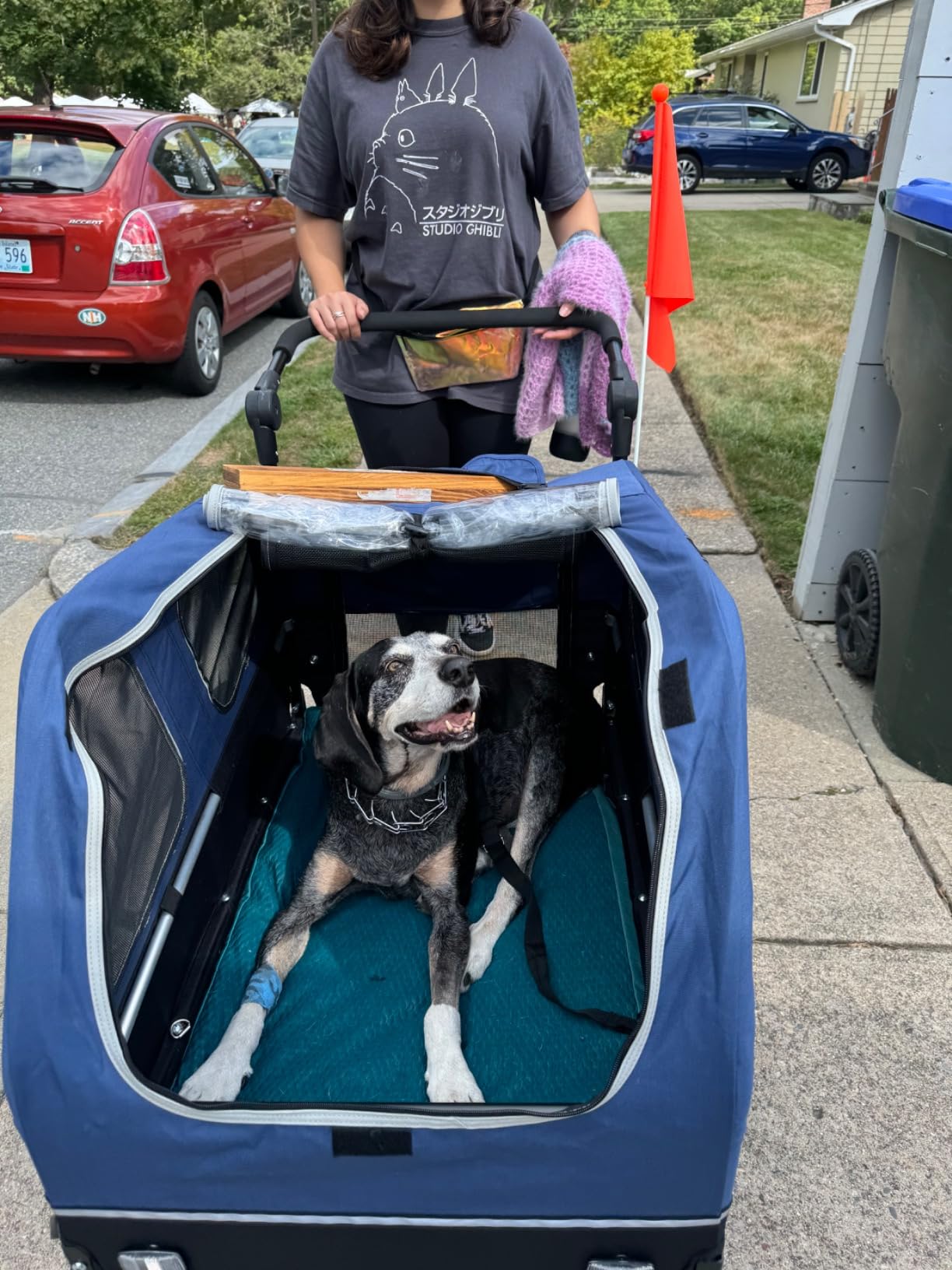 DOGGYHUT S-Line XL Pet Bike Trailer & Stroller for Large Dogs Up to 100 lbs, Folding Dog Cart with Shock-Absorbing Suspension Wheels, Low Center of Gravity, Parking Brakes customer photo 2