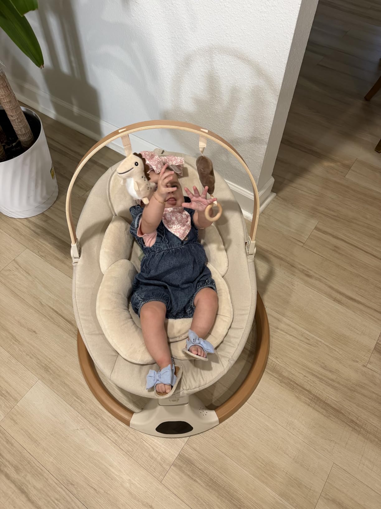 Monamii Baby Swings for Infants, Bluetooth Infant Swing with Music Speaker | Baby Swing with 5 Speeds, Remote Control, IMD Touch Panel, 3 Timer Settings, for Indoor & Outdoor Use customer photo 1