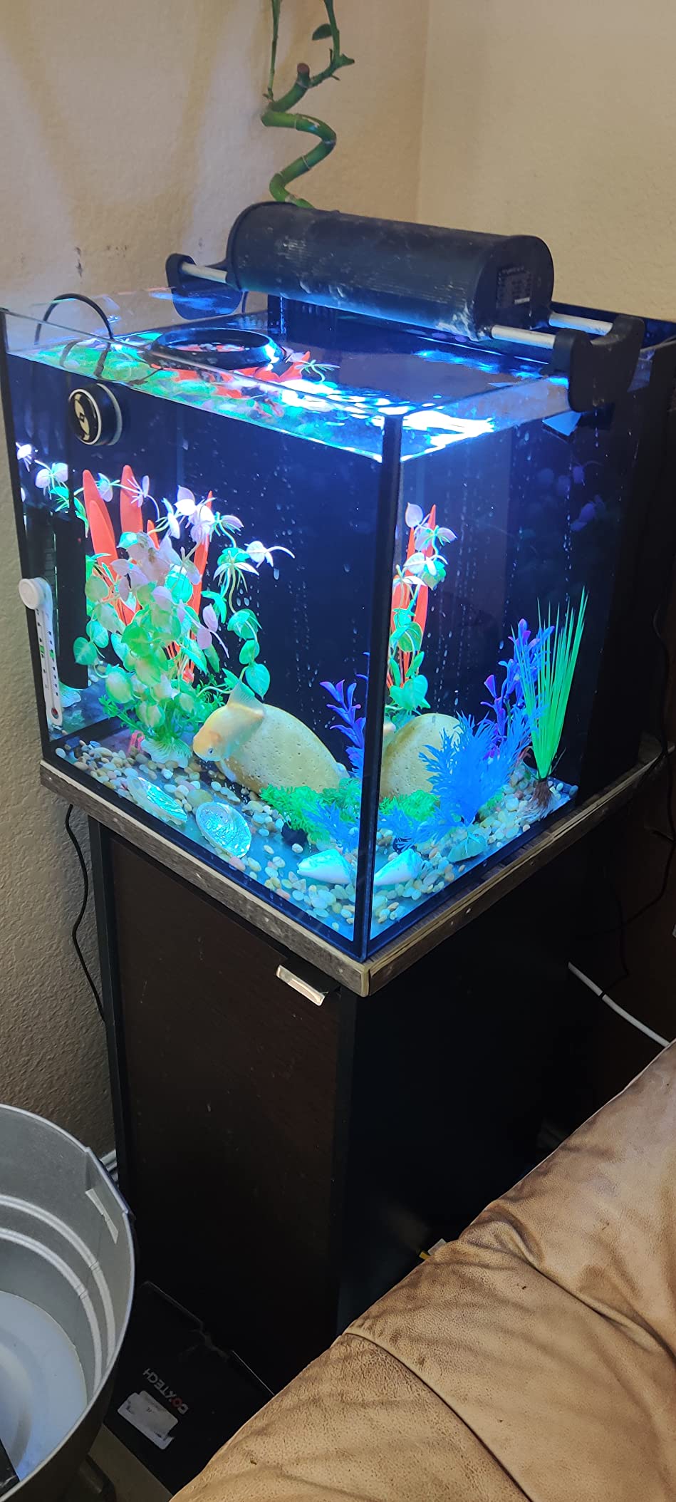 Innovative Marine Starter Kit Aquariums (20 Gallon Long) customer photo 1