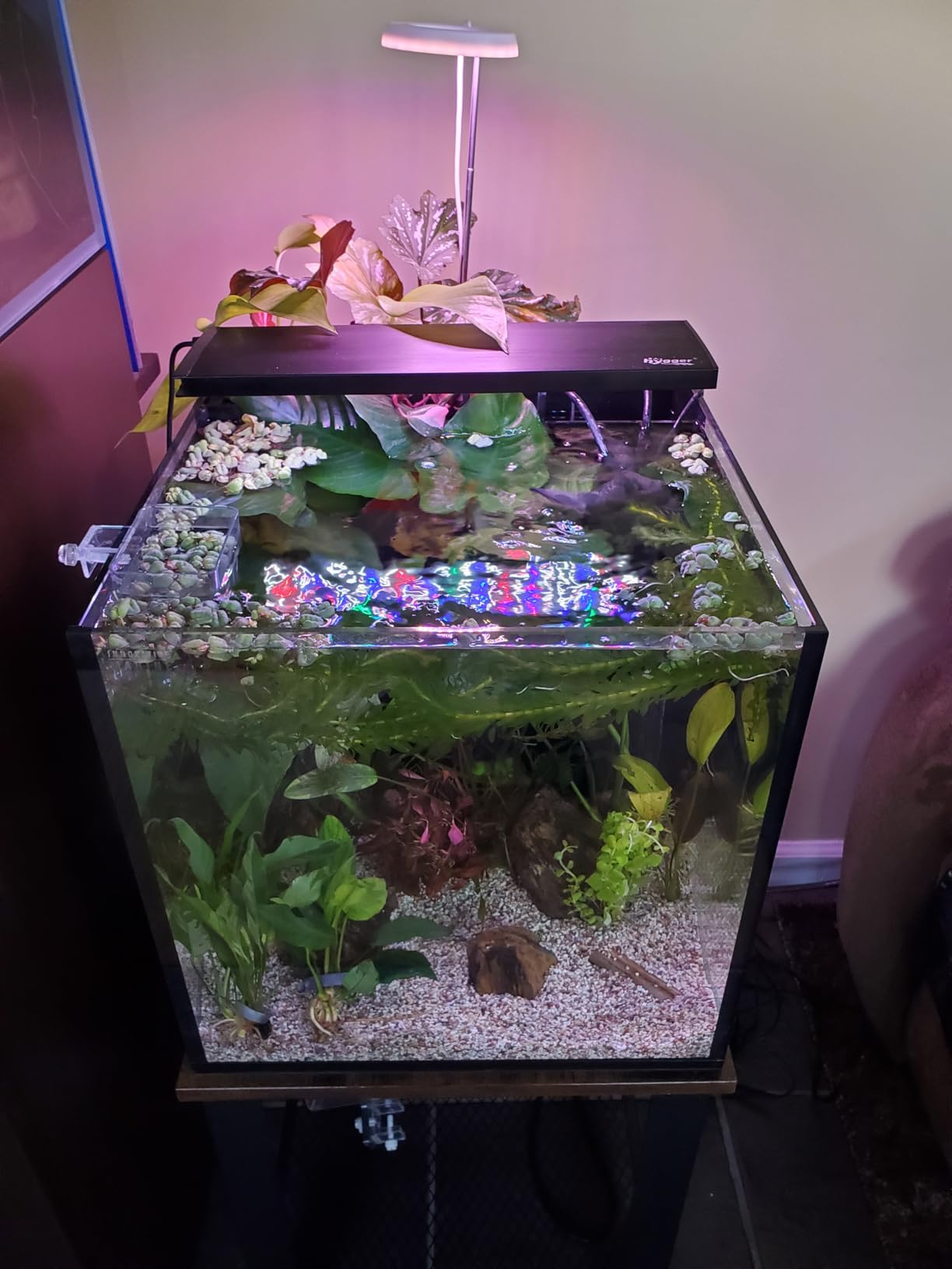 Innovative Marine Starter Kit Aquariums (20 Gallon Long) customer photo 2
