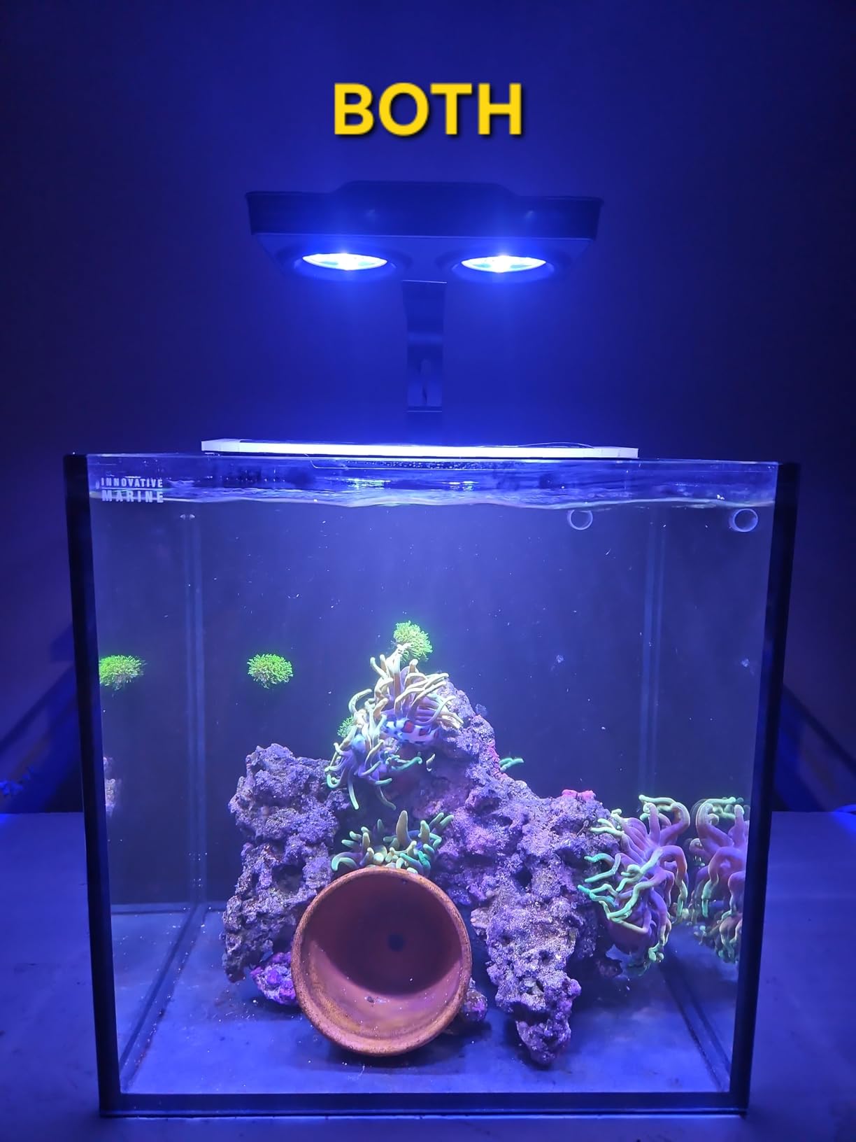 A036 Reef Tank Light 36 Watts Saltwater Light with Touch Control, Reef Lights for Coral Reef Nano Fish Tank Marine Tanks with Timer & Screen customer photo 1