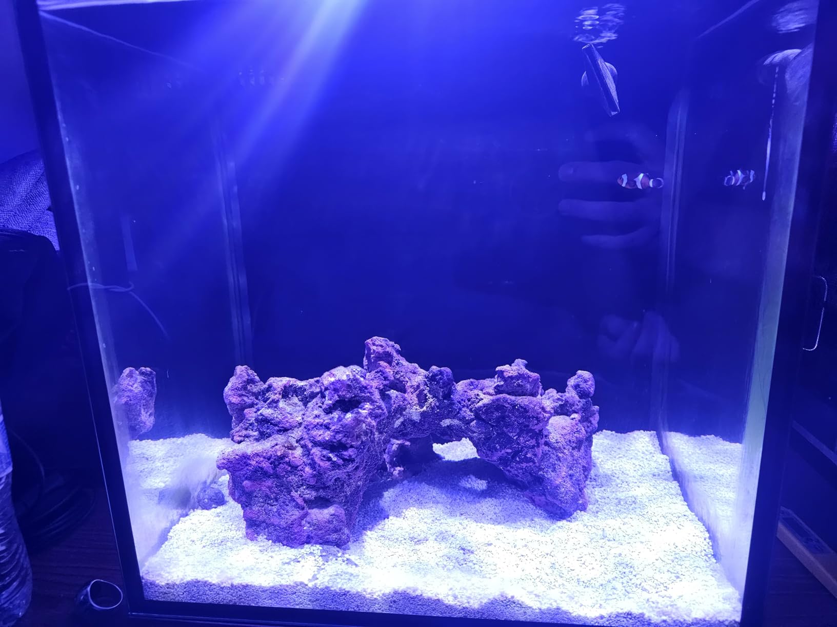 Innovative Marine Starter Kit Aquariums (25 Gallon Lagoon) customer photo 2