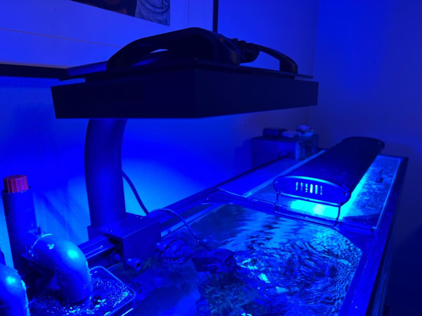 NICREW HyperReef 100 Gen 2 Reef LED Light, 100W Reef Aquarium Lighting for SPS LPS Corals and Saltwater Fish Tanks, Enhanced Violet and Blue Spectrum, Wide Angle Lens, 5 Channels Fully Programmable customer photo 2