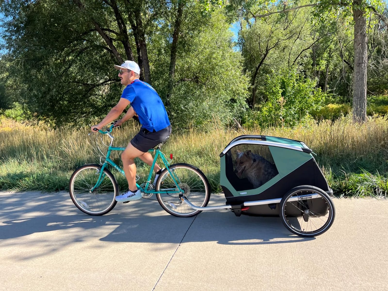 Thule Bexey pet Bike Trailer - Carrier for Small & Large Sized Dogs - Foldable Design - Easy to Connect to Bike - Padded Interior - Converts into Travel Crate - Durable Materials customer photo 1