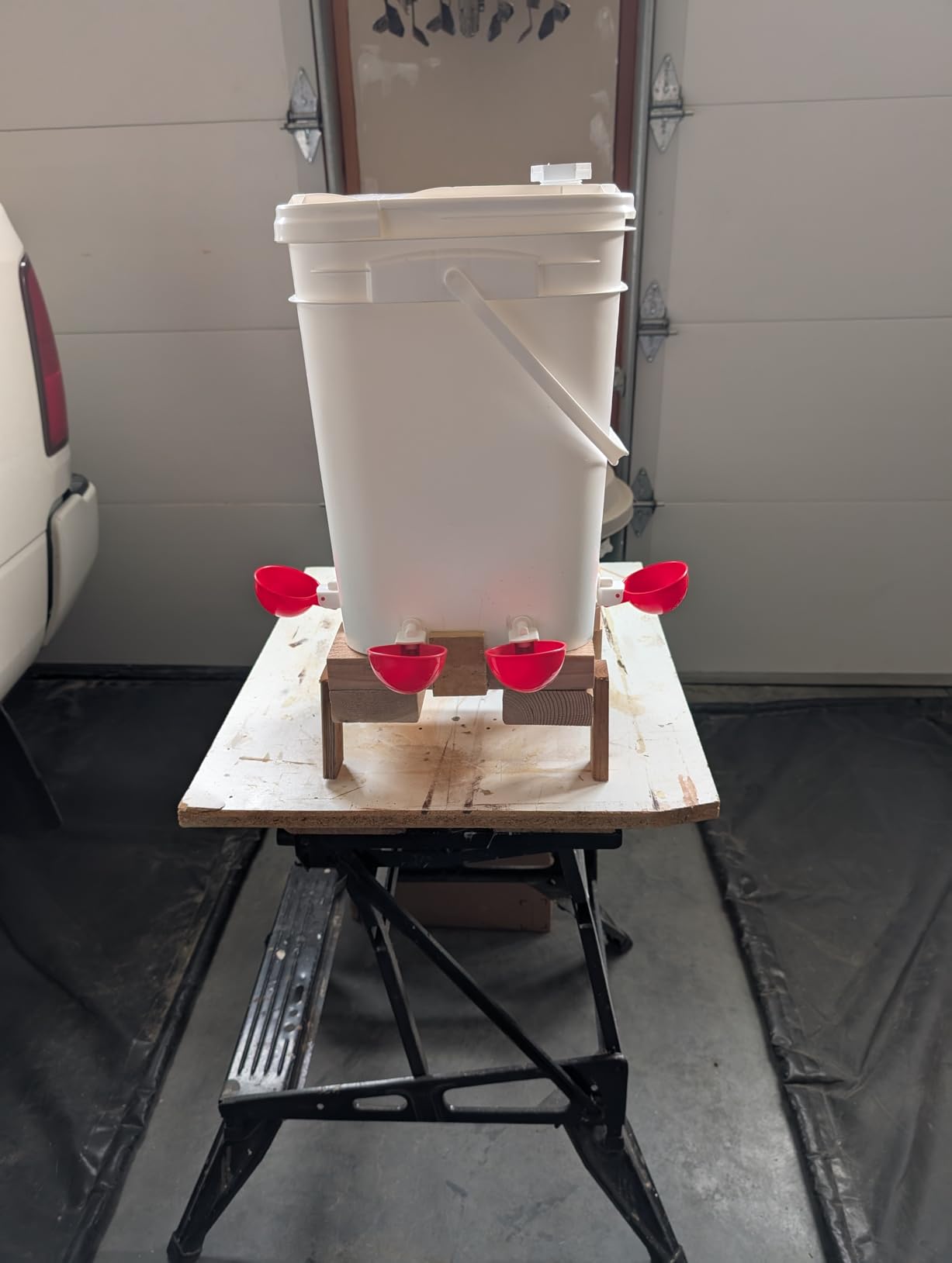 Chicken Waterer Cups, Automatic DIY Chicken Water Bowl 6 Pack | Chicken Flock Waterer Cups with 3/8'' Hole Saw for Bucket, Trough, Easy Install customer photo 2