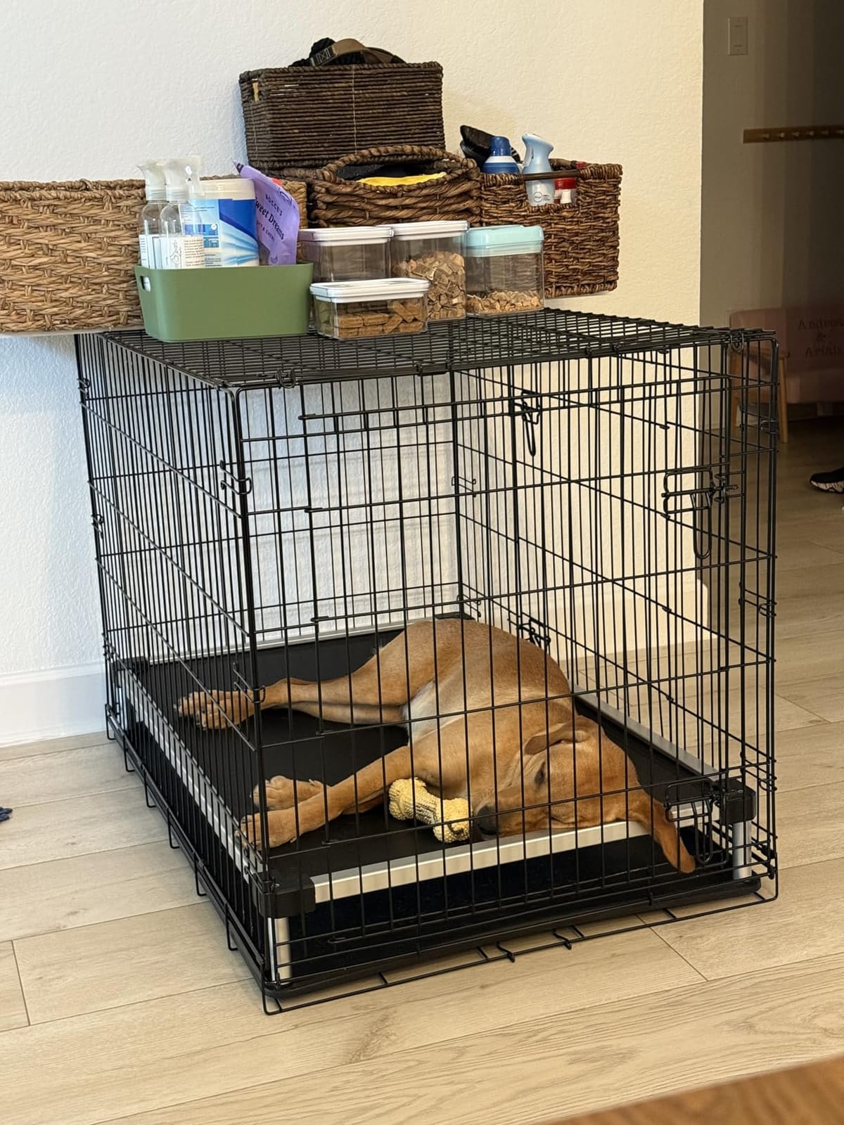 FXW TitanNest Cooling Chew-Proof Elevated Dog Bed for Large Dogs | Easy to Clean, Pre-assembly Raised Cot, Indoor/Outdoor/Camping, 47 x 29 x 7.3in customer photo 1