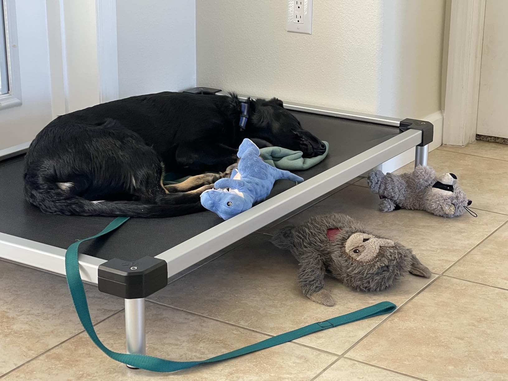 FXW TitanNest Cooling Chew-Proof Elevated Dog Bed for Large Dogs | Easy to Clean, Pre-assembly Raised Cot, Indoor/Outdoor/Camping, 47 x 29 x 7.3in customer photo 2