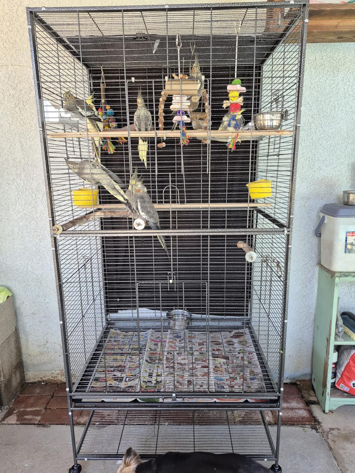 GarveeHome 66 Inch Large Bird Cage, Bird Cage with Rolling Storage Stands, Feed Bowls, Wide Tall Parrot Cage for Parakeets, Conures, Cockatiel, Cockatoo customer photo 2