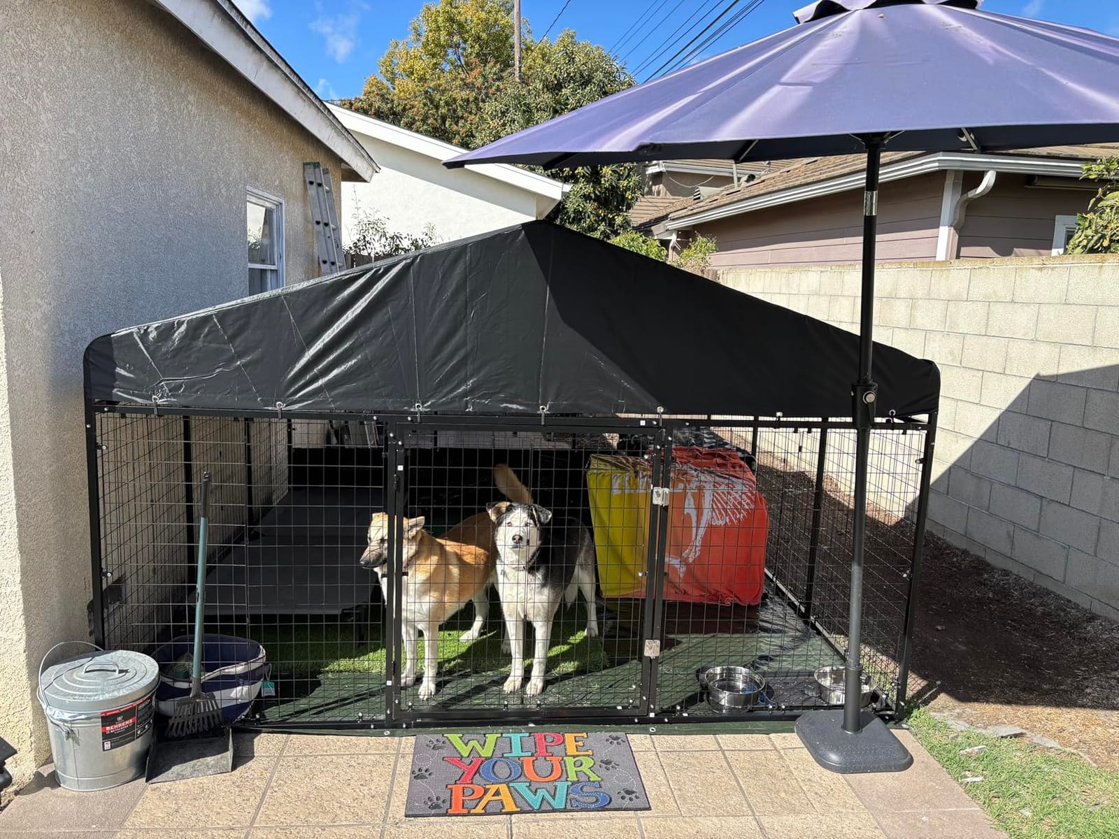 Petony Large Outdoor Dog Enclosure, Heavy Duty Dog Kennel with Roof, Galvanized Steel Dog Cage Fence with Double Safety Locks (6.56'x 6.56') customer photo 1