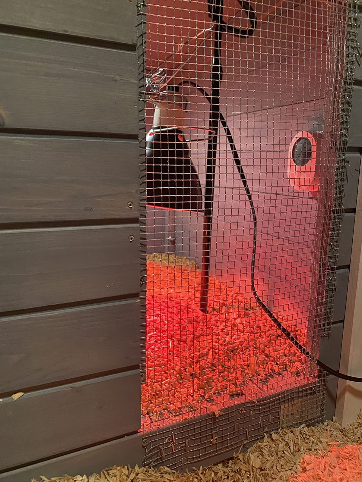 Petsfit Outdoor Chicken Coop with Run for 4-6 Chickens, 3 Nesting Boxes | 71 x 42 x 45 in; predator-resistant ground anchors, 3-door cleaning access, washable floor, 3 perches and chicken swing. customer photo 2