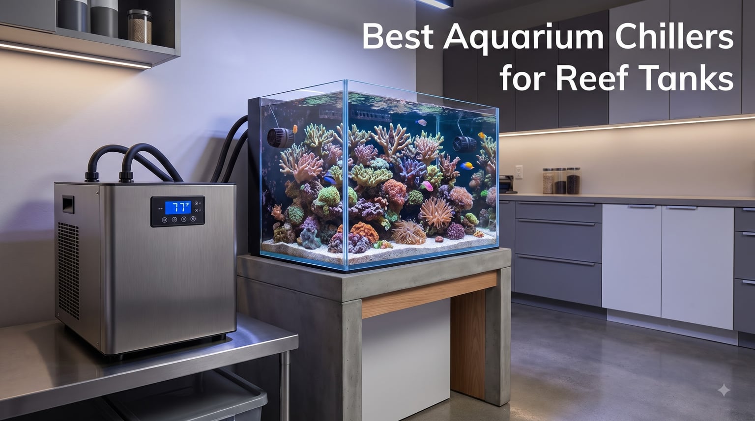 12 Best Aquarium Chillers for Reef Tanks (August 2026)