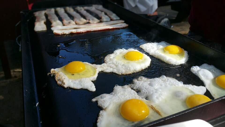 Camp Chef Professional Fry Griddle, 14
