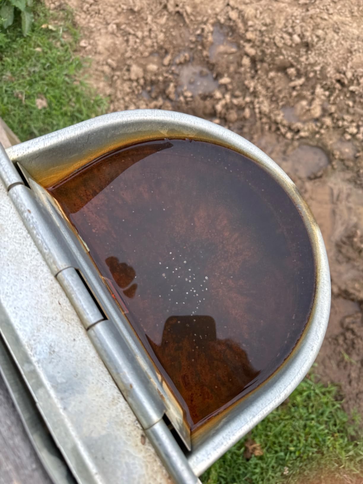 Little Giant Automatic Livestock Waterer, Epoxy Coated Automatic Stock Waterer for Horses, Cows and Hog customer photo 2
